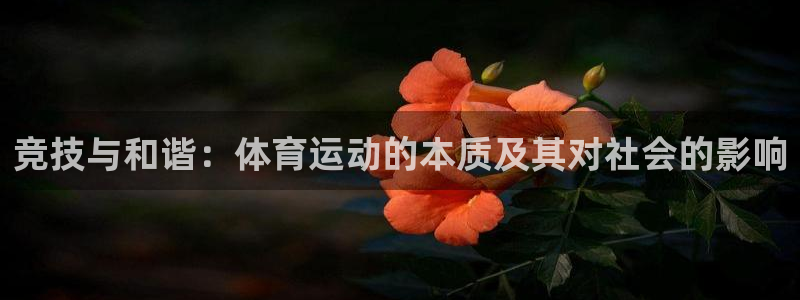 球派体育荣耀手机下载