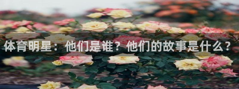 球派体育app下载官网最新版本安卓手机：体育明星：他们是谁？他们的故事是什么？