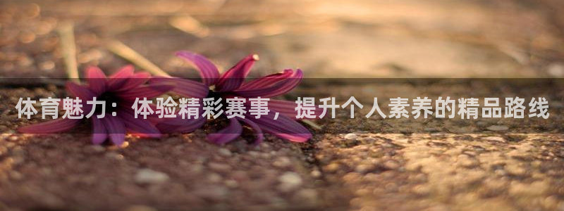 球派体育官网下载