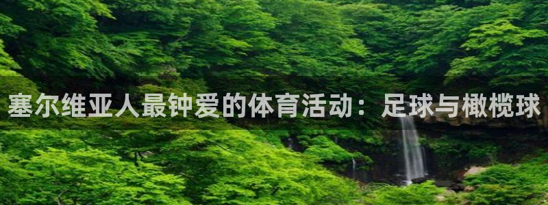球派体育推荐