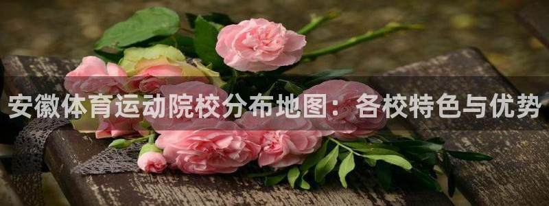 球派体育软件下载
